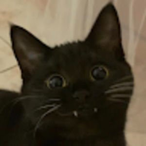 Meet your Posher, Star